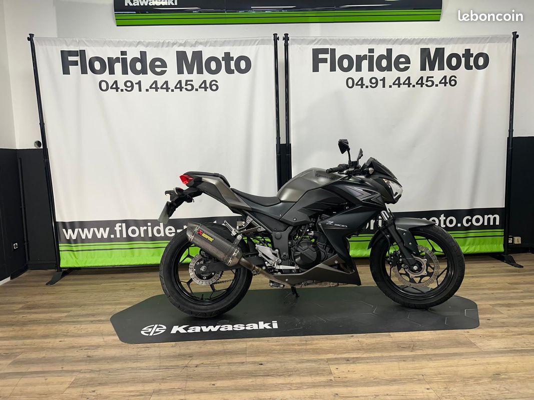 Z300