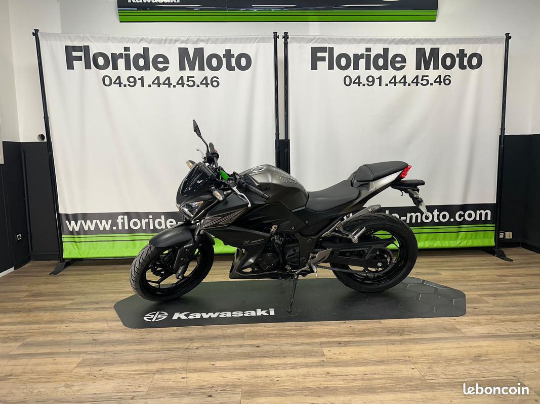 Z300 – Image 2